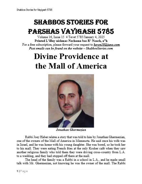 Shabbos Stories — Parshas Vayigash