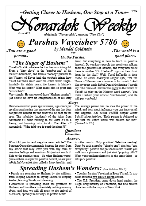 Novardok weekly — Parshas Vayeishev