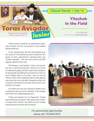 Toras Avigdor - Junior — Parshas Chayei Sarah