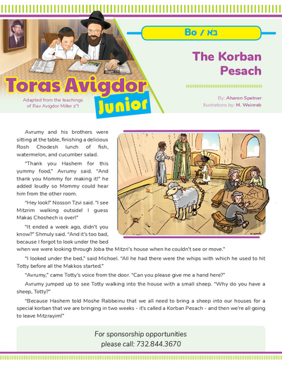 Toras Avigdor - Junior — Parshas Bo