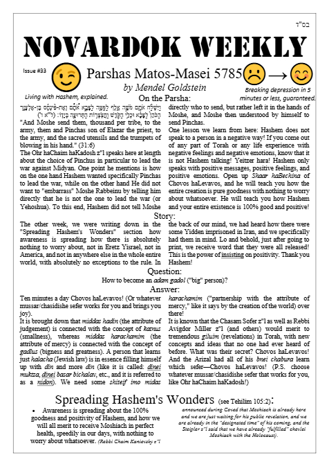 PDF Preview