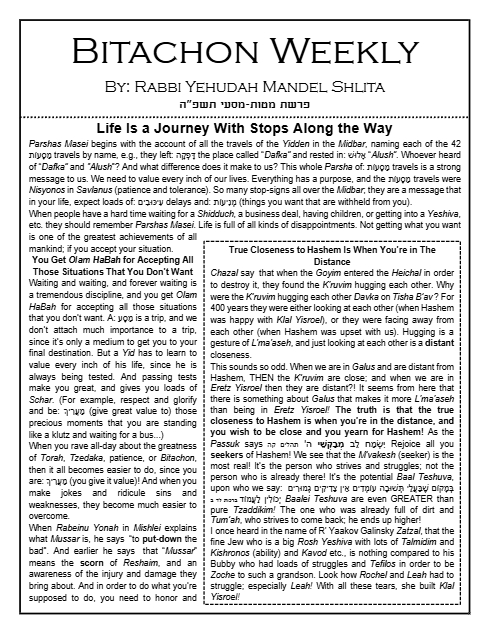 PDF Preview