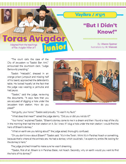 Toras Avigdor - Junior — Parshas Vayikra