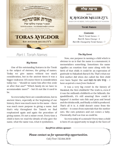 Toras Avigdor — Parshas Shlach