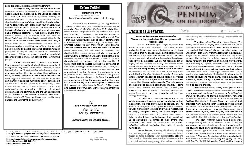 PDF Preview