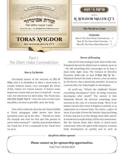 Toras Avigdor — Parshas Ki Teitzei