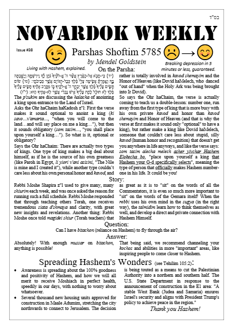 Novardok weekly — Parshas Shoftim