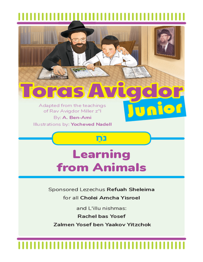 Toras Avigdor - Junior — Parshas Noach