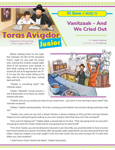 Toras Avigdor - Junior — Parshas Ki Tavo