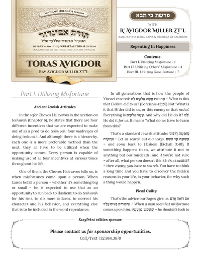 Toras Avigdor — Parshas Ki Tavo