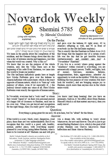 Novardok weekly — Parshas Shemini