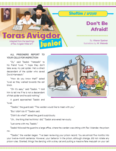 Toras Avigdor - Junior — Parshas Shoftim