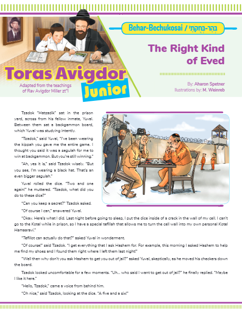 Toras Avigdor - Junior — Parshas Behar - Bechukosai