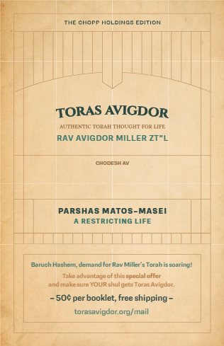 Toras Avigdor — Parshas Matos-Massei