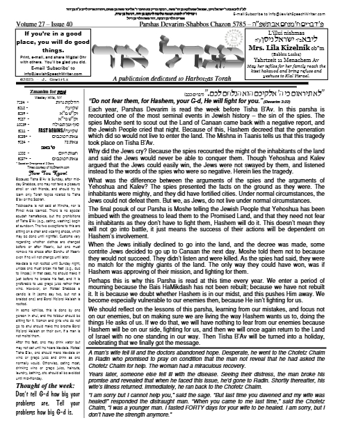 PDF Preview