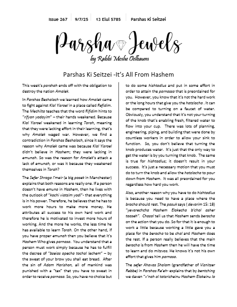 Parsha Jewels — Parshas Ki Teitzei