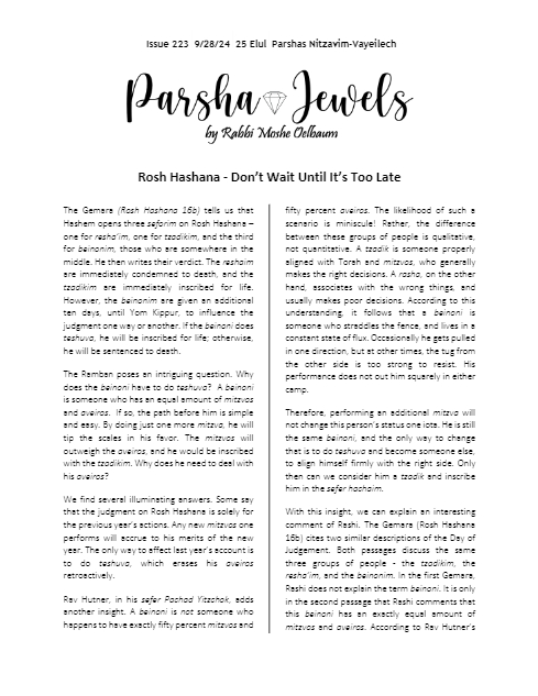 Parsha Jewels — Parshas Nitzavim-Vayelech