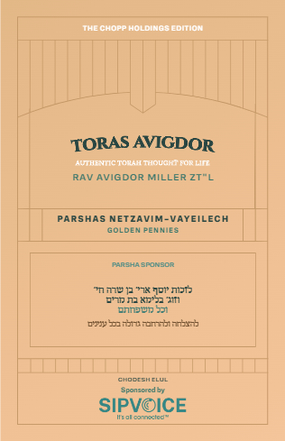 Toras Avigdor — Parshas Nitzavim-Vayelech