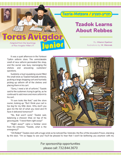 Toras Avigdor - Junior — Parshas Tazria - Metzora
