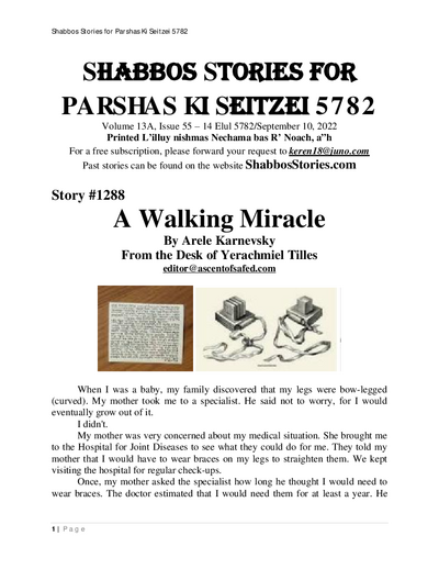 Shabbos Stories — Parshas Ki Teitzei