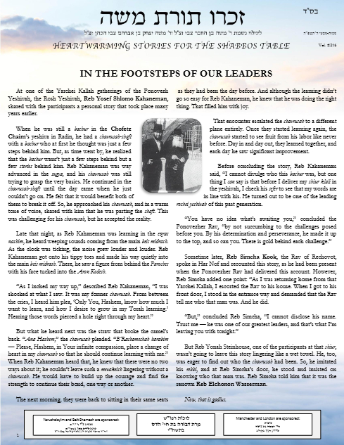 PDF Preview