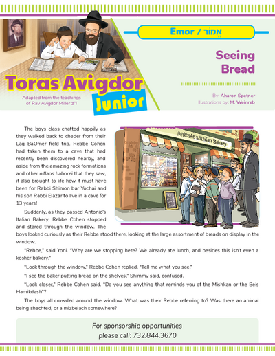 Toras Avigdor - Junior — Parshas Emor