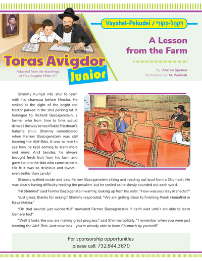Toras Avigdor - Junior — Parshas Vayakhel/Pekudei