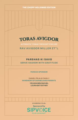 Toras Avigdor — Parshas Ki Savo
