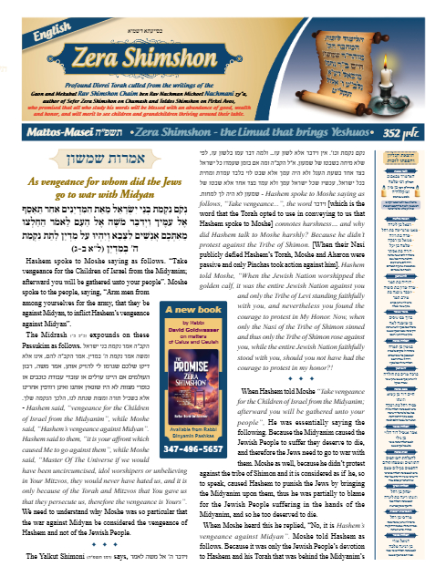 PDF Preview
