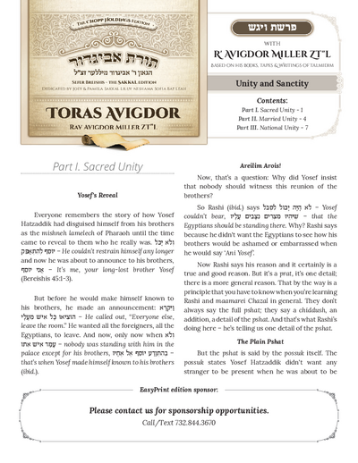 Toras Avigdor — Parshas Vayigash