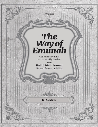 The Way of Emunah — Parshas Ki Teitzei