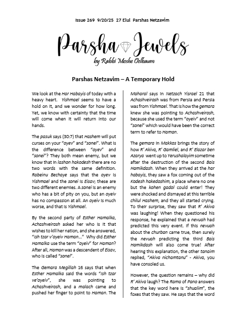 Parsha Jewels — Parshas Nitzavim