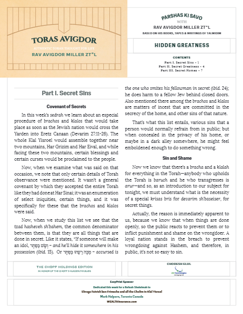 Toras Avigdor — Parshas Ki Tavo