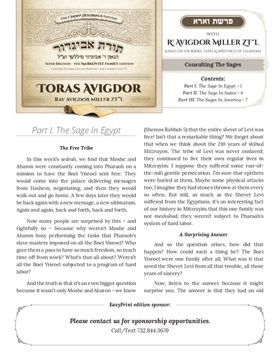 Toras Avigdor — Parshas Vaeira