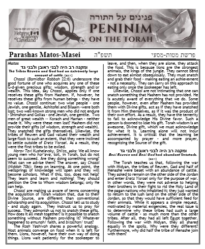 PDF Preview