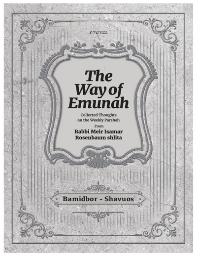 The Way of Emunah — Parshas Bamidbar