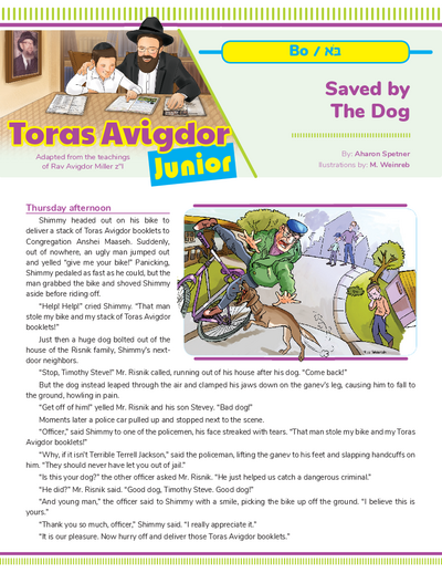 Toras Avigdor - Junior — Parshas Bo