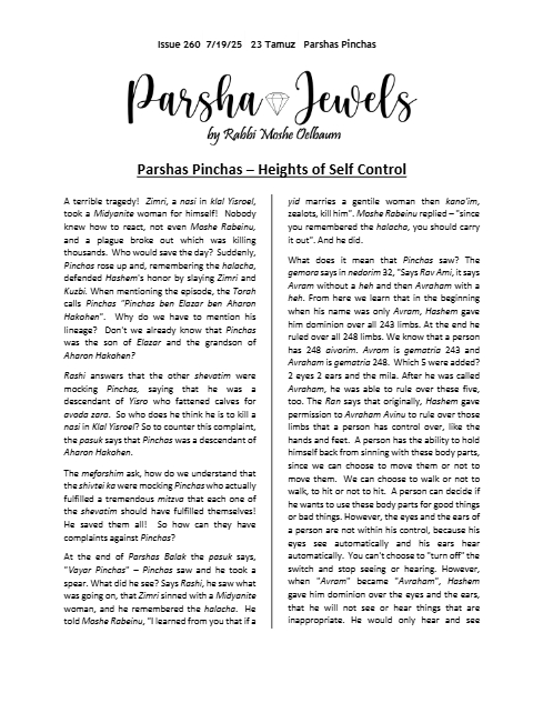 Parsha Jewels — Parshas Pinchas