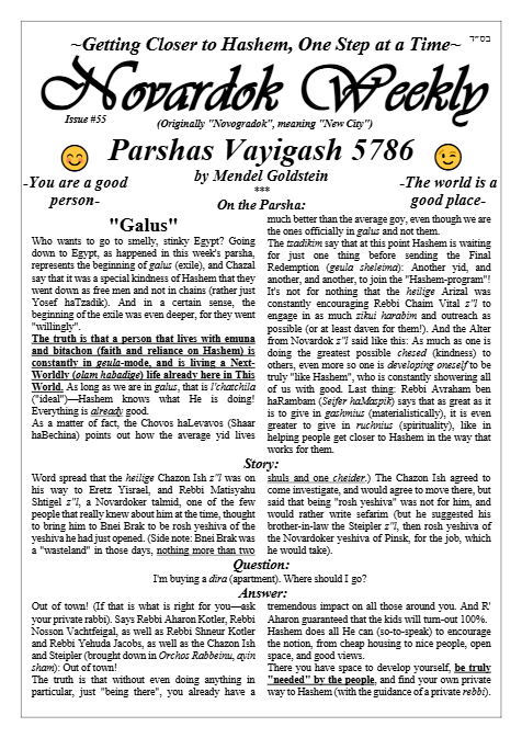 Novardok weekly — Parshas Vayigash