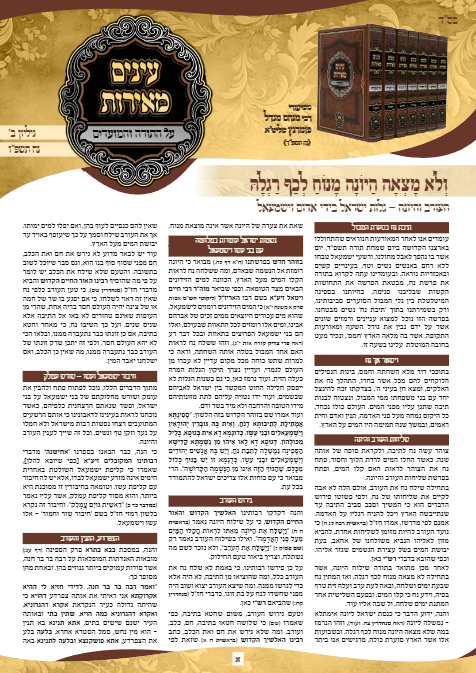 עיניים מאירות — Parshas Noach