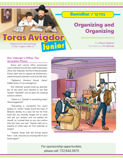 Toras Avigdor - Junior — Parshas Bamidbar
