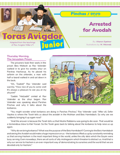 Toras Avigdor - Junior — Parshas Pinchas