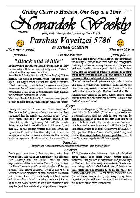 Novardok weekly — Parshas Vayeitzei