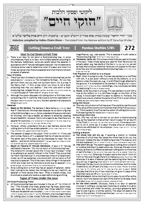 Chukai Chaim — Parshas Shoftim
