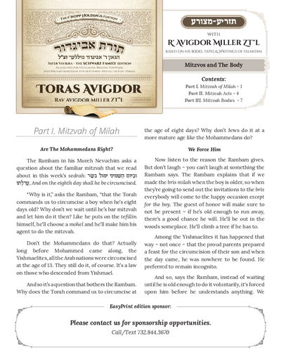 Toras Avigdor — Parshas Tazria - Metzora
