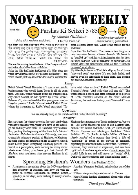 Novardok weekly — Parshas Ki Teitzei