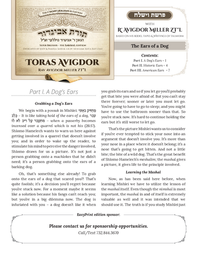 Toras Avigdor — Parshas Vayishlach