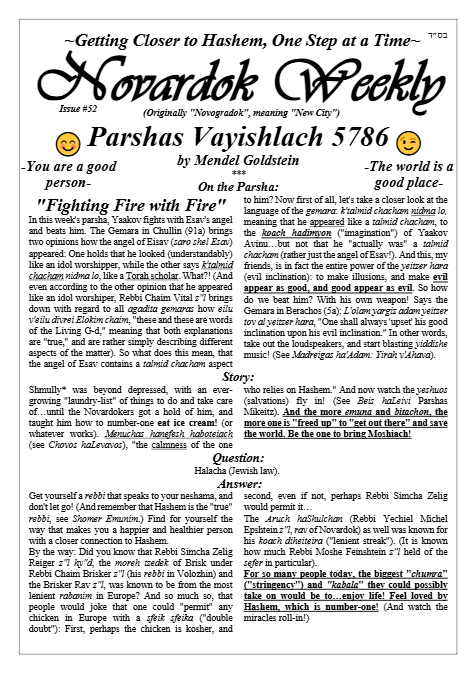 Novardok weekly — Parshas Vayishlach