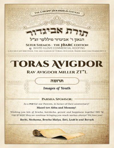 Toras Avigdor — Parshas Terumah