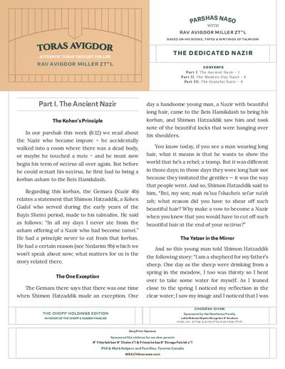 Toras Avigdor — Parshas Naso